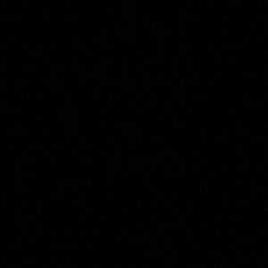 Meet your Posher, Hayden